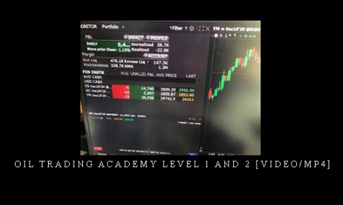 Oil Trading Academy Level 1 and 2 [Video/MP4]