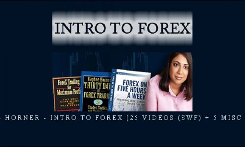 Raghee Horner – Intro to Forex [25 Videos (SWF) + 5 Misc (HTML)]