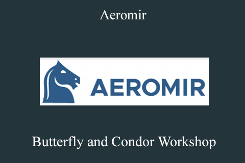 Aeromir – Butterfly and Condor Workshop (1)