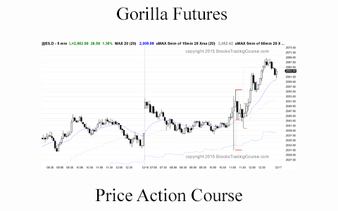 Gorilla Futures – Price Action Course