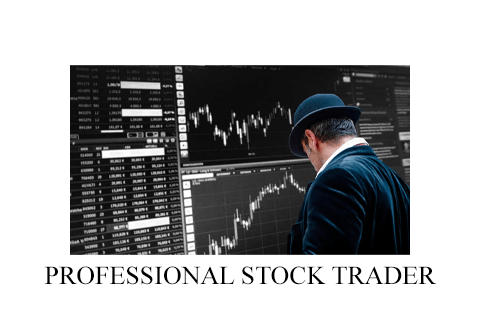 PROFESSIONAL STOCK TRADER (2)