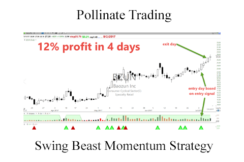Pollinate Trading – Swing Beast Momentum Strategy (1)