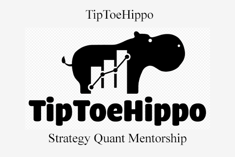 TipToeHippo – Strategy Quant Mentorship (2)