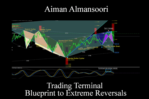 Aiman Almansoori – Trading Terminal – Blueprint to Extreme Reversals (2)
