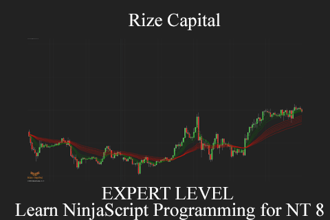 Rize Capital – EXPERT LEVEL – Learn NinjaScript Programming for NT 8 (2)