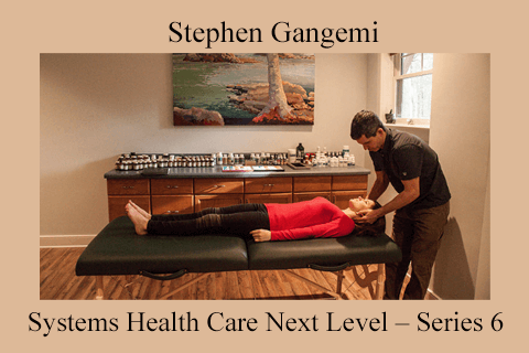 Stephen Gangemi – Systems Health Care Next Level – Series 6 (2)